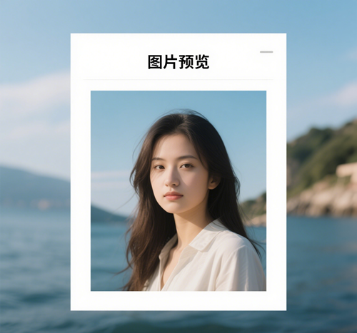 预览图
